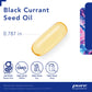 Black Currant Seed