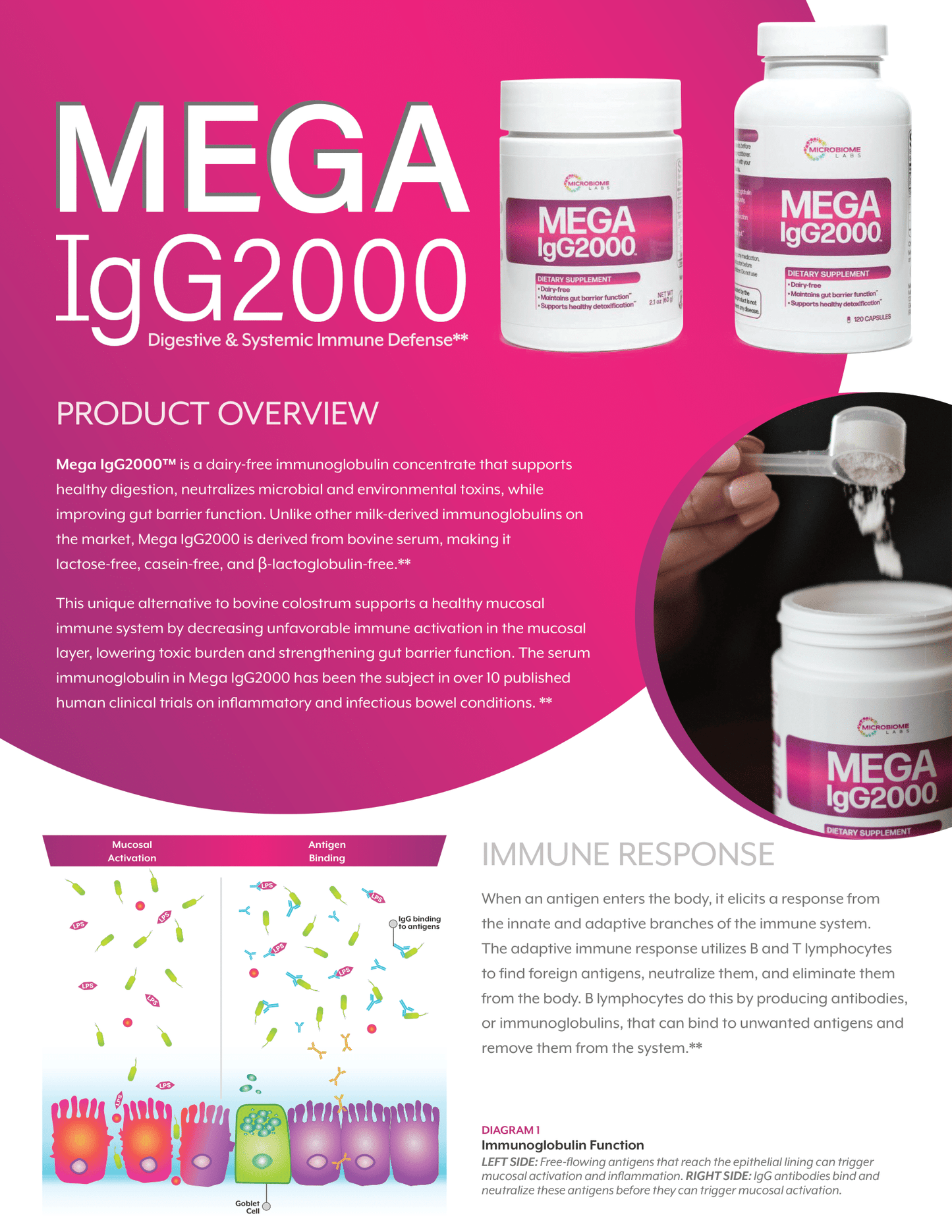 Mega IgG2000™