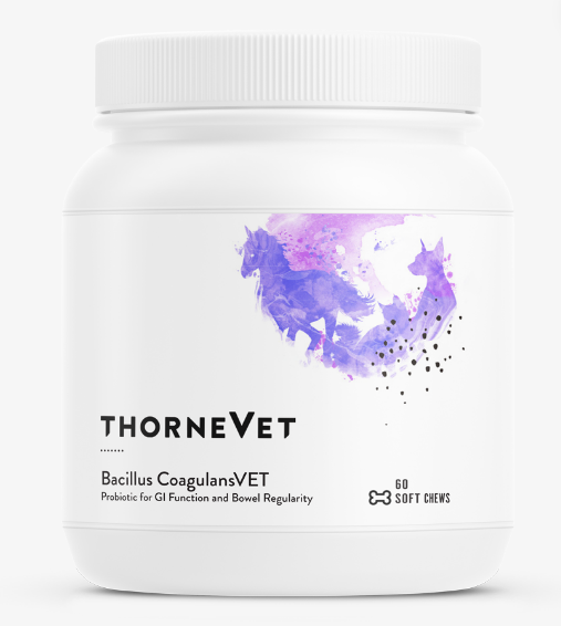ThorneVet - Bacillus Coagulans Vet